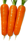 carrot3.gif